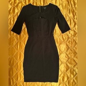 Aritzia Dress